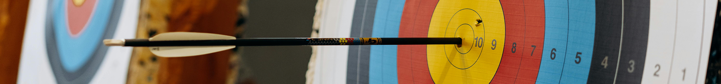 archery target 100% accuracy